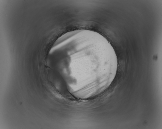 X0000092070913200710101015