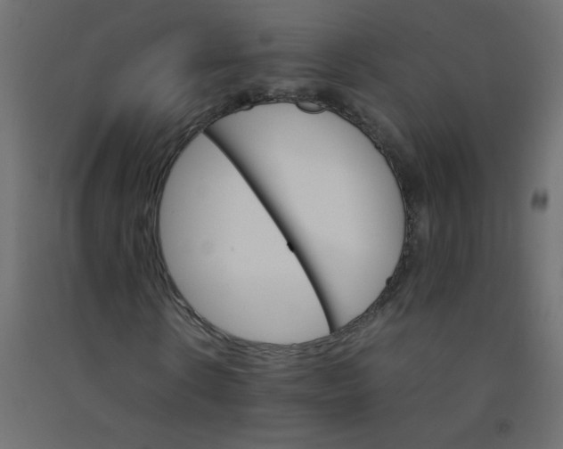 X0000092070914200710101015