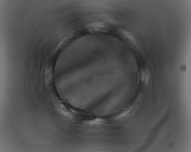 X0000092070915200710101015