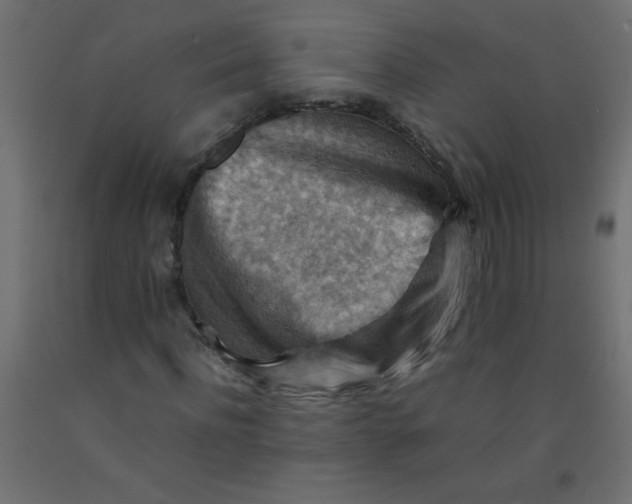 X0000092070916200710101015