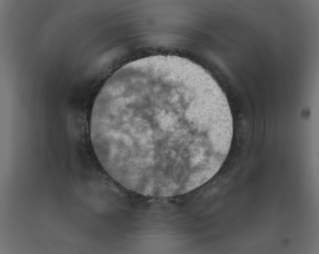 X0000092070918200710101015