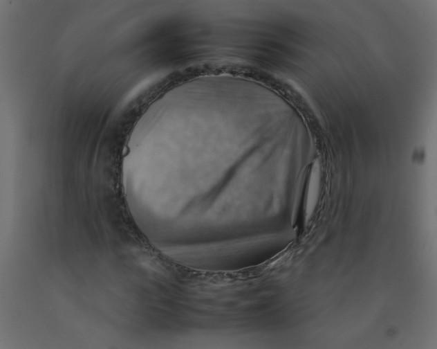 X0000092070919200710101015