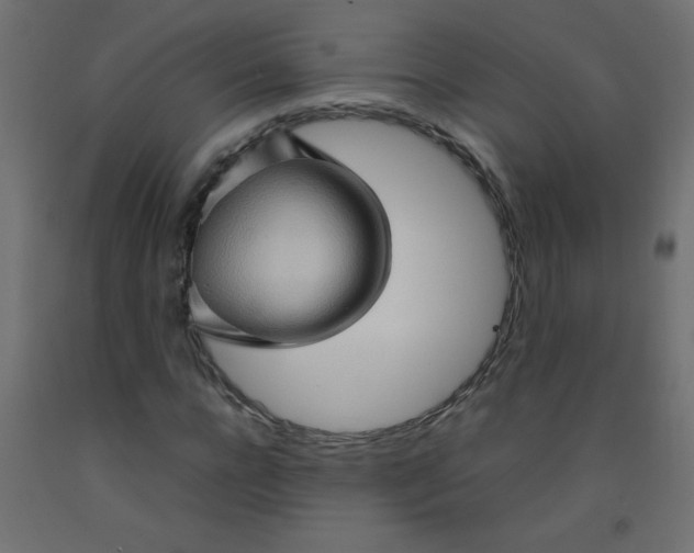 X0000092070920200710101015