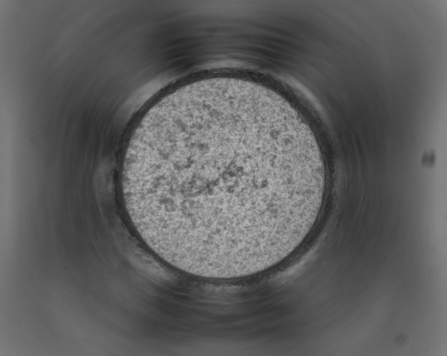 X0000092070921200710101015