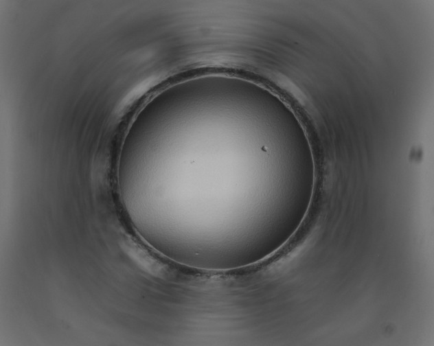 X0000092070922200710101015