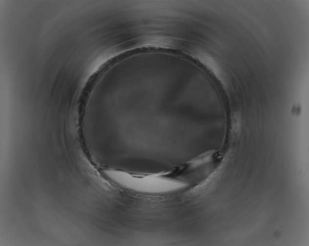 X0000092070923200710101015