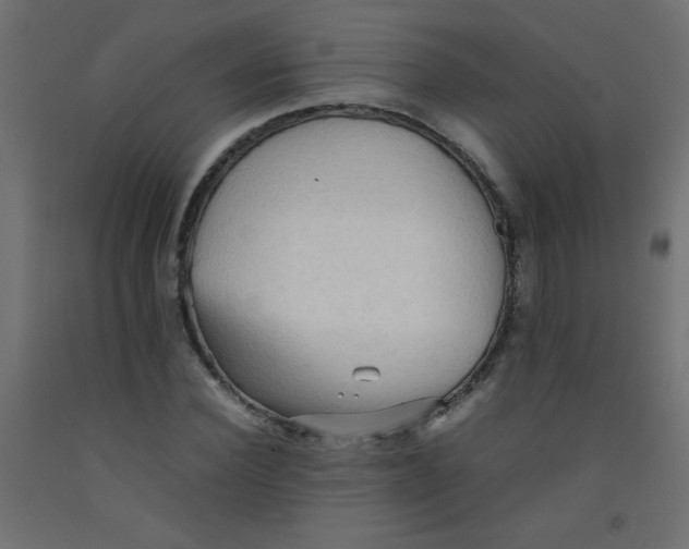X0000092070924200710101015