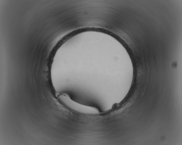 X0000092070926200710101015