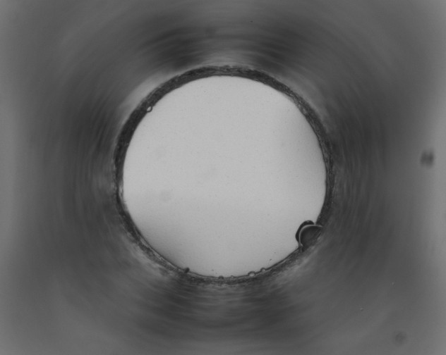 X0000092070927200710101015