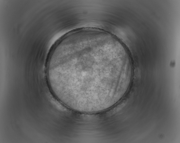 X0000092070928200710101015