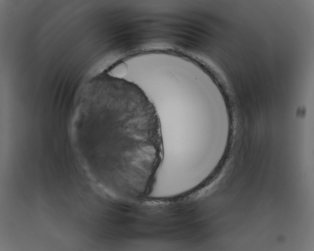 X0000092070929200710101015