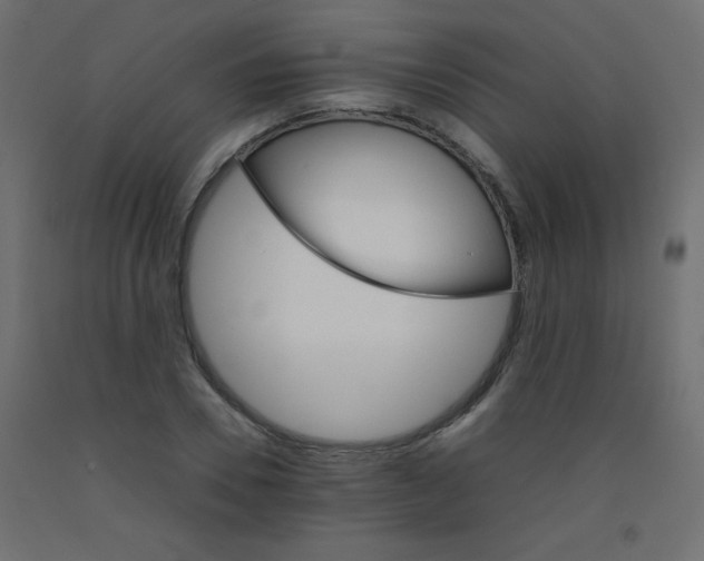 X0000092070930200710101015