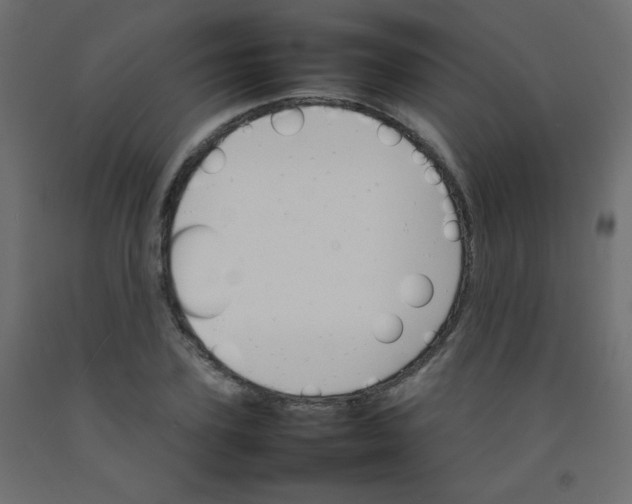 X0000092070931200710101015