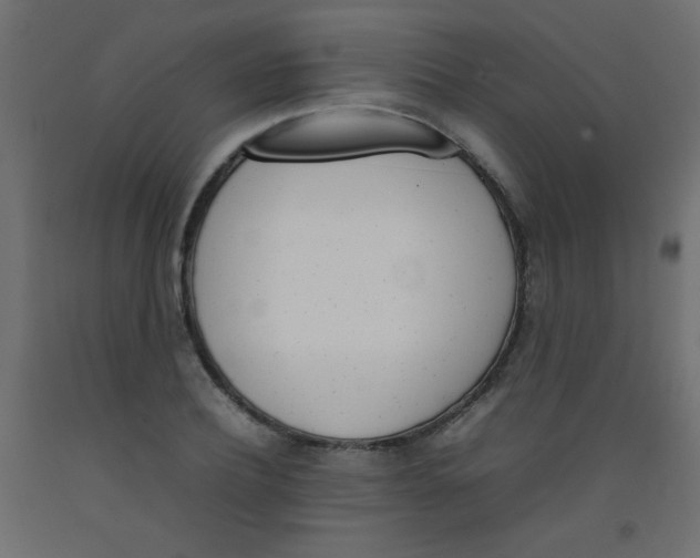 X0000092070932200710101015