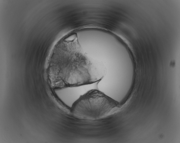 X0000092070933200710101015