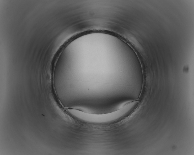 X0000092070934200710101015