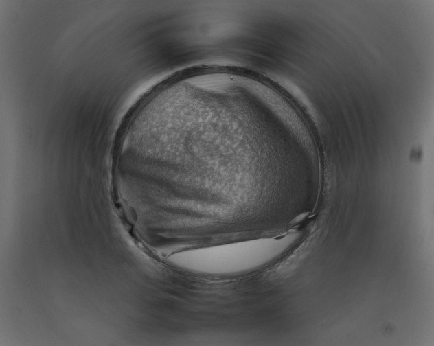 X0000092070935200710101015
