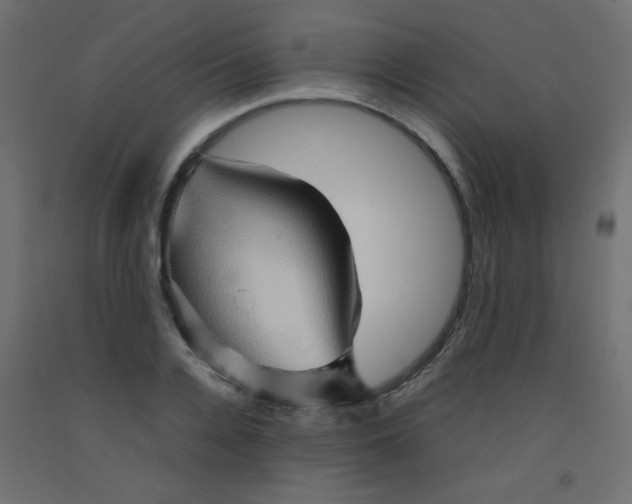 X0000092070936200710101015