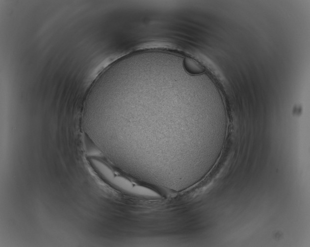 X0000092070937200710101015