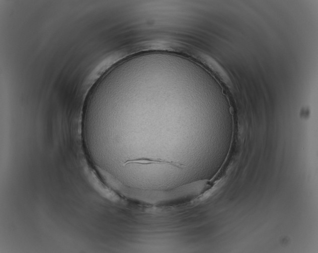 X0000092070938200710101015