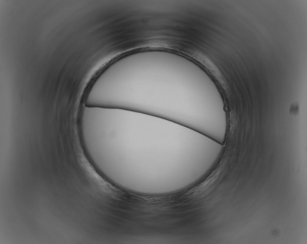 X0000092070939200710101015