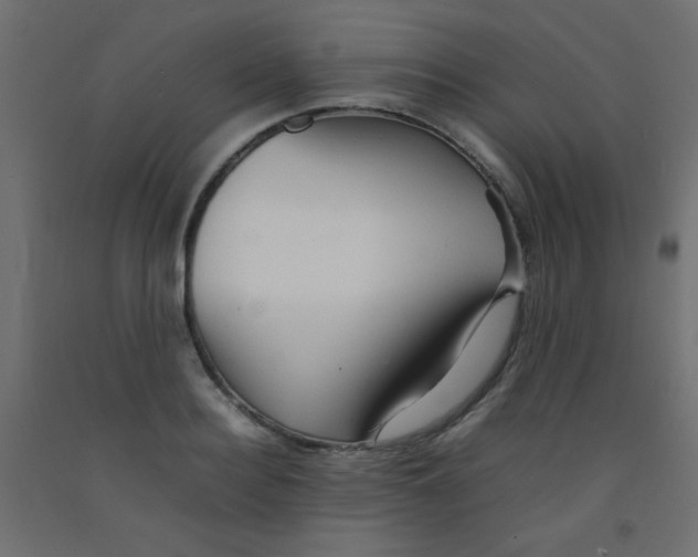 X0000092070940200710101015