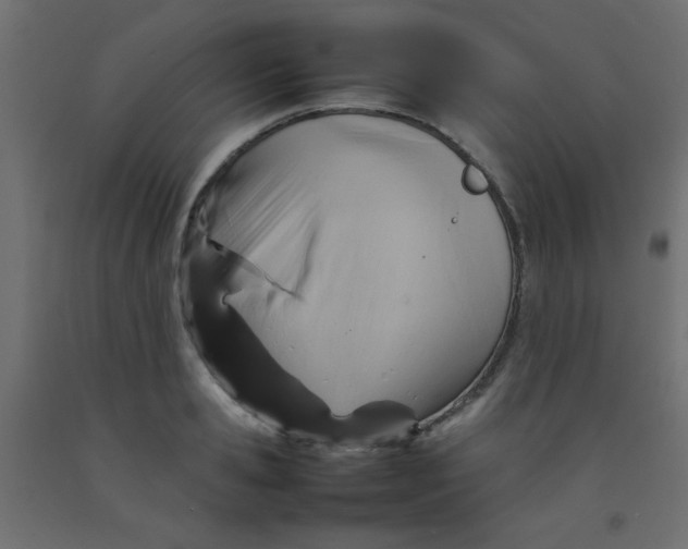 X0000092070941200710101015