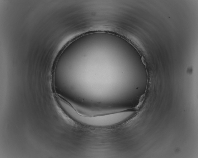 X0000092070942200710101015