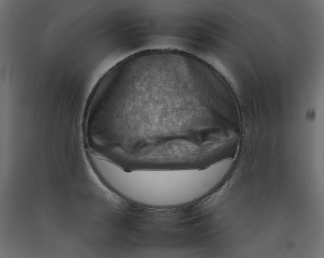X0000092070943200710101015