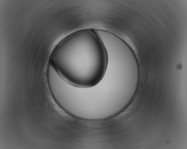 X0000092070944200710101015