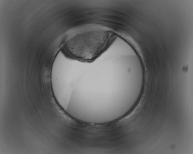 X0000092070945200710101015