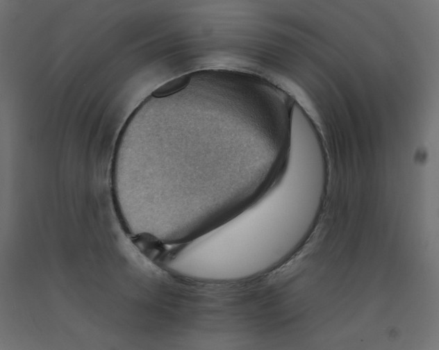 X0000092070946200710101015