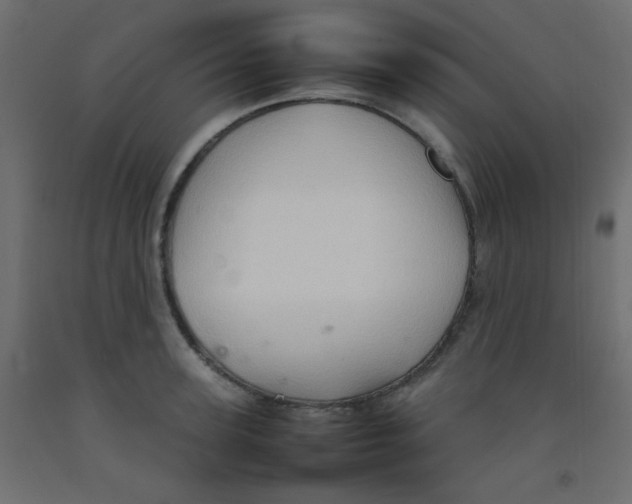 X0000092070947200710101015
