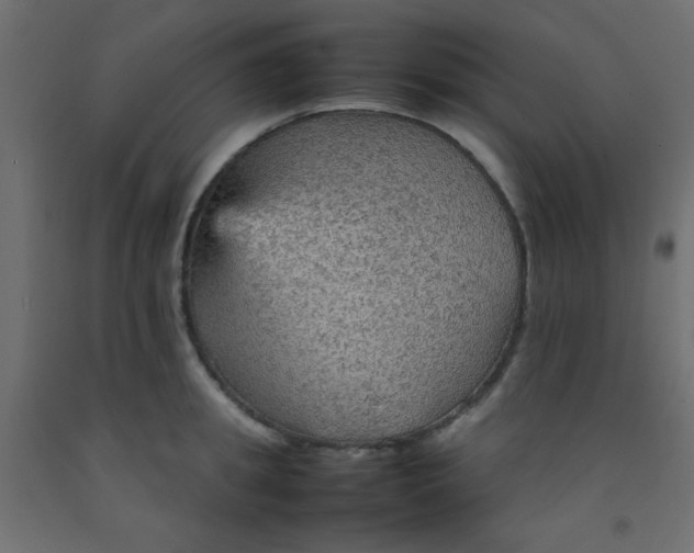X0000092070949200710101015