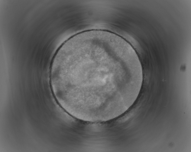 X0000092070950200710101015