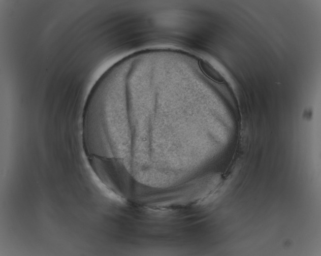 X0000092070951200710101015