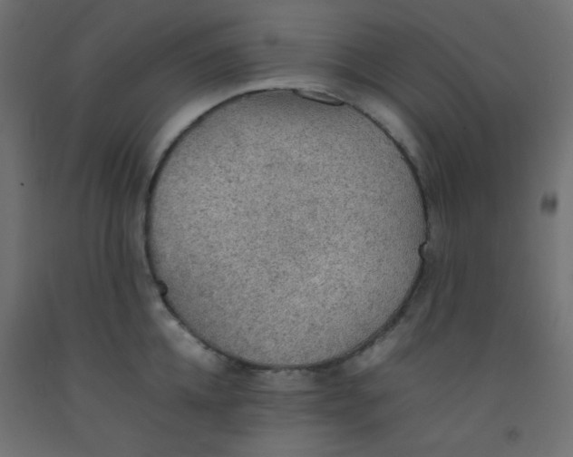 X0000092070952200710101015