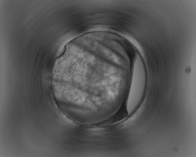 X0000092070953200710101016