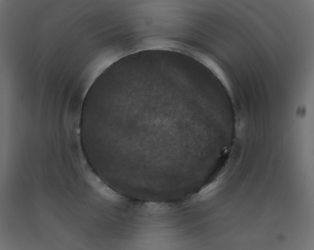 X0000092070954200710101016
