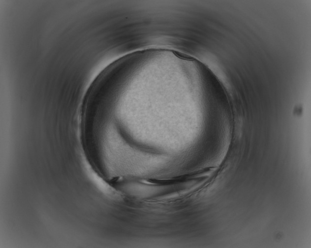 X0000092070955200710101016