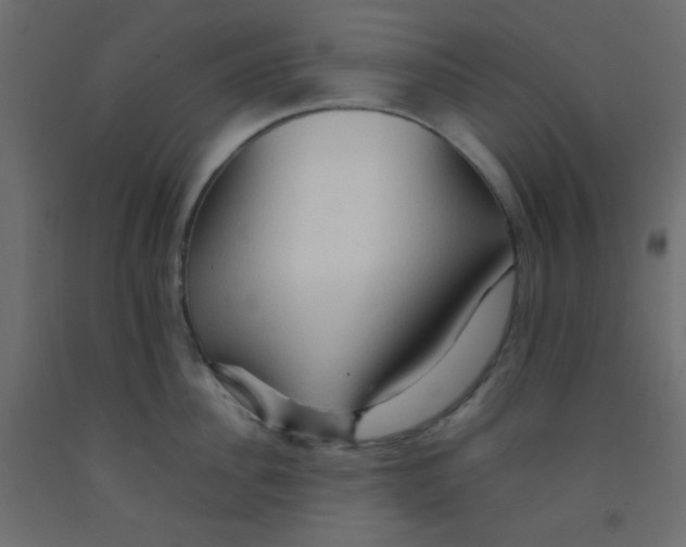 X0000092070956200710101016