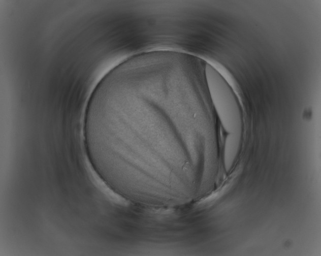 X0000092070957200710101016