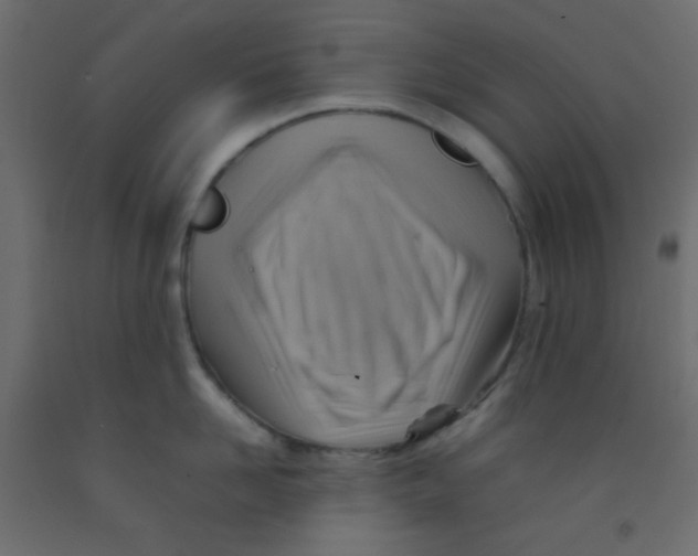 X0000092070958200710101016