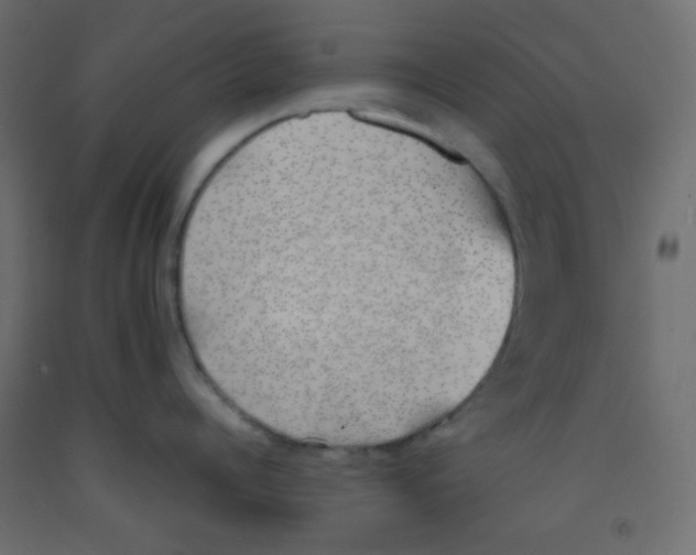X0000092070960200710101016