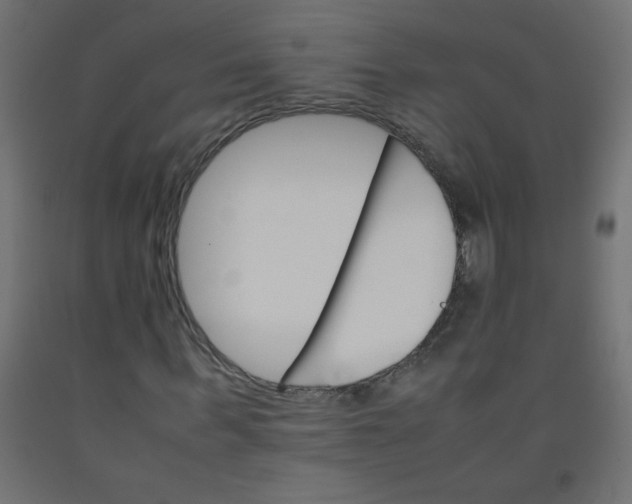 X0000092070963200710101015
