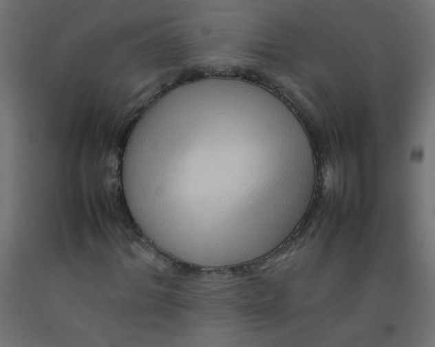X0000092070964200710101015