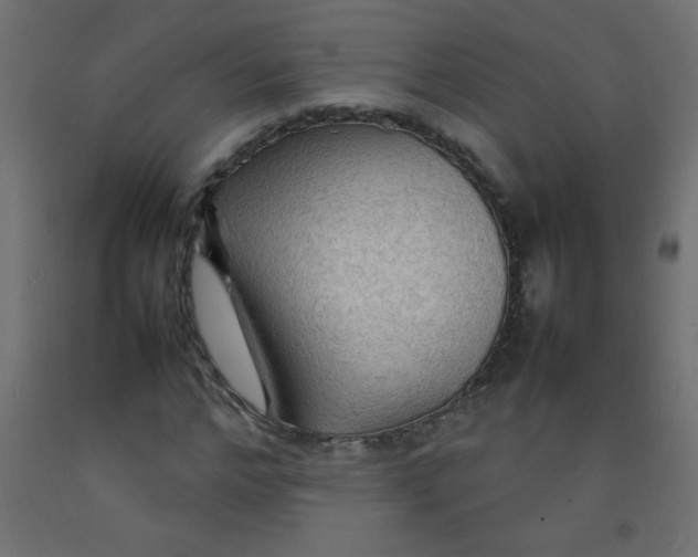 X0000092070968200710101015