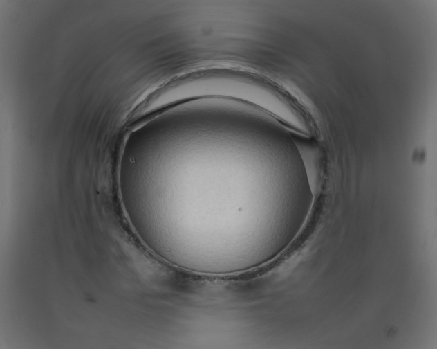 X0000092070969200710101015