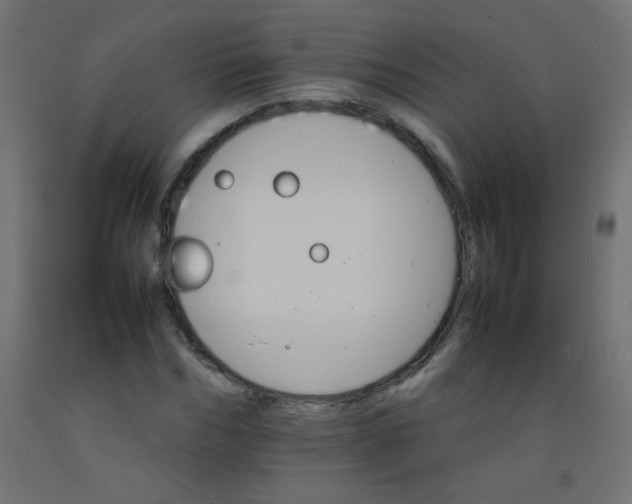 X0000092070970200710101015