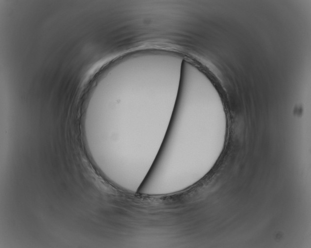 X0000092070971200710101015